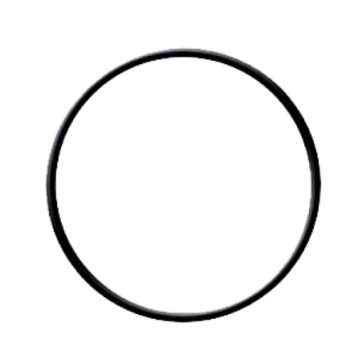 O-ring for Standard-Size Filter Housing (61301605452/ 113029) 